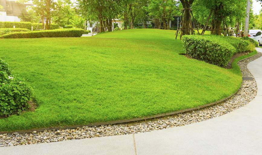 Lawn Edging