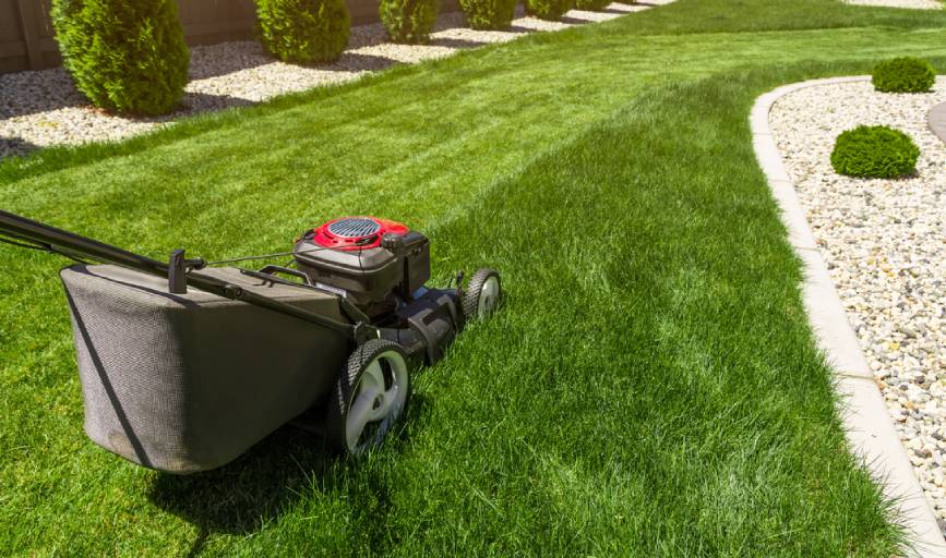 Almighty Landscaping